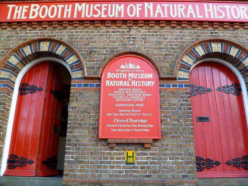 Things to do in Brighton