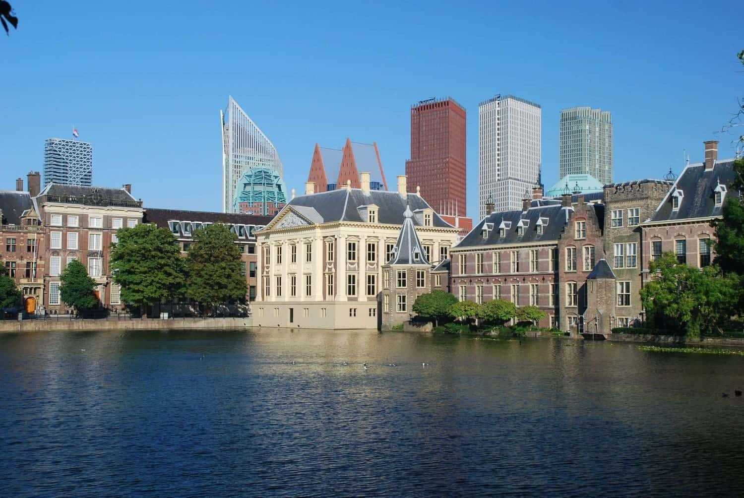 the mauritshuis