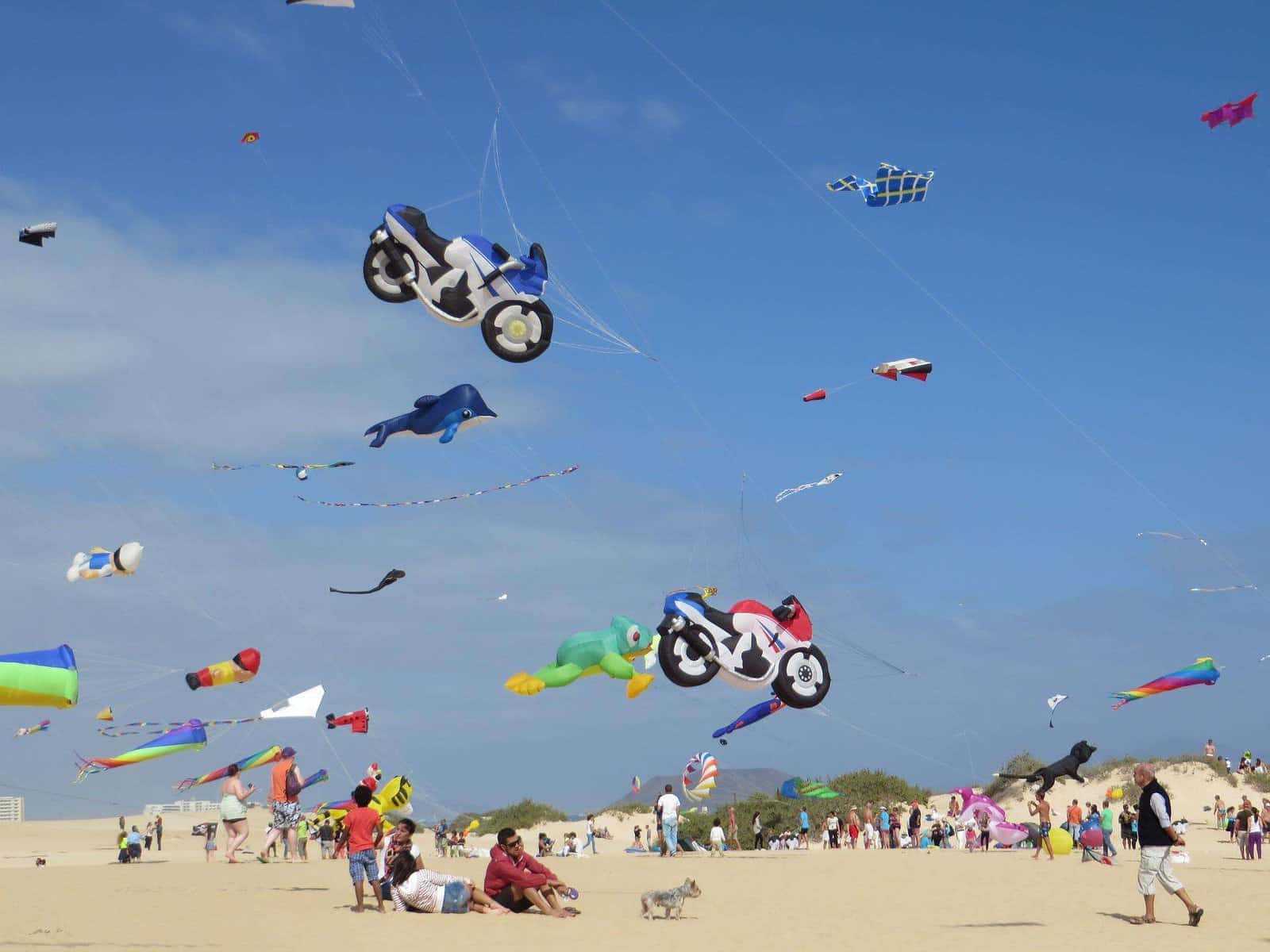 kite festiva