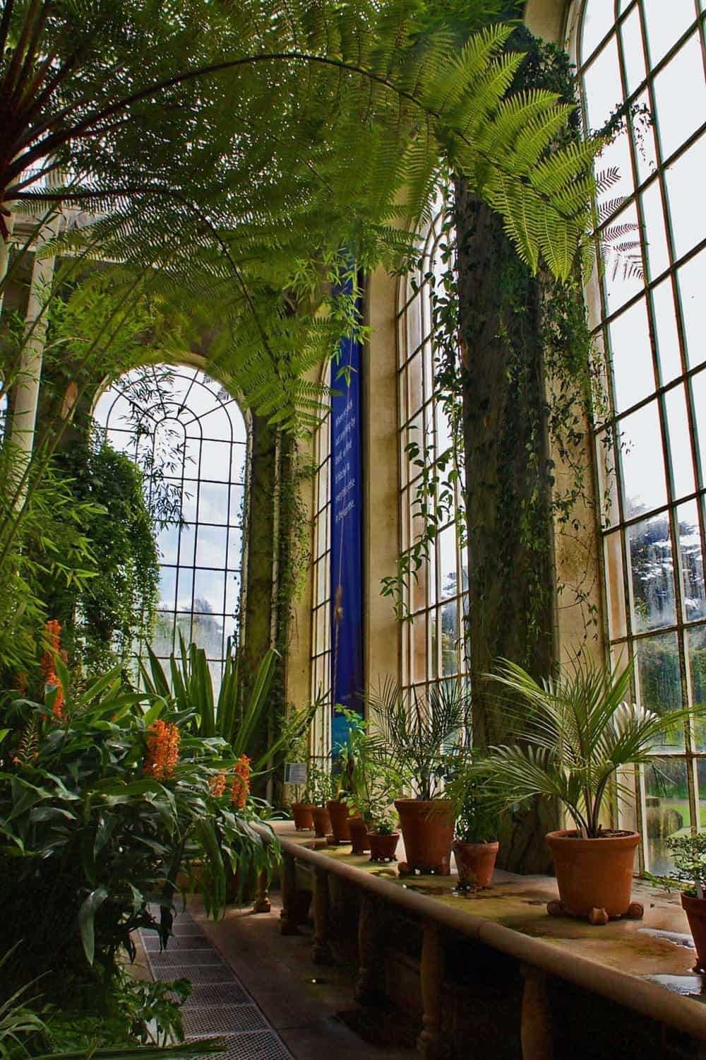 The Royal Botanic Garden Edinburgh