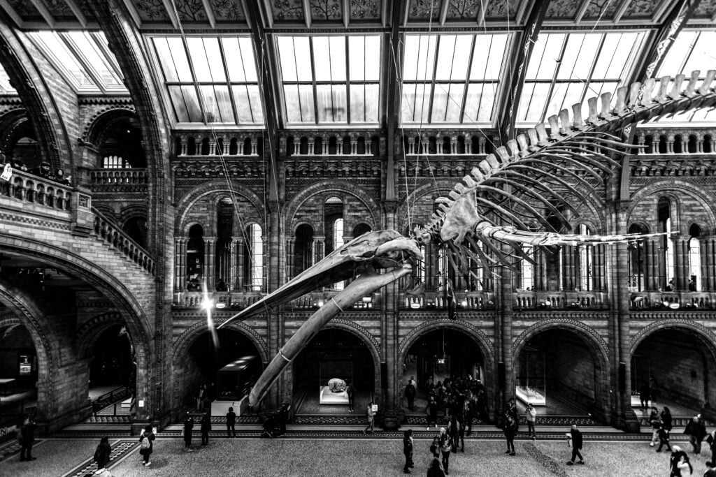 indoor activities london