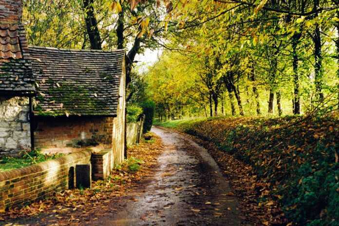 scott-evans-p9Su8r9lXTU-unsplash Places to visit in Hampshire