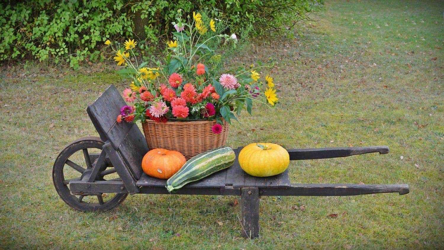 harvest festival uk