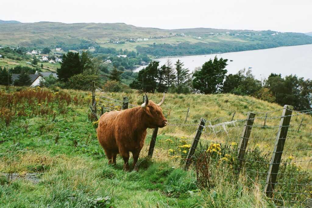 Scottish Islands