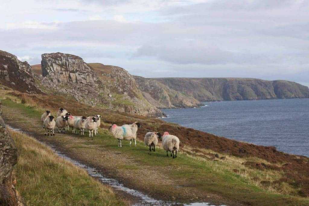 Scottish Islands