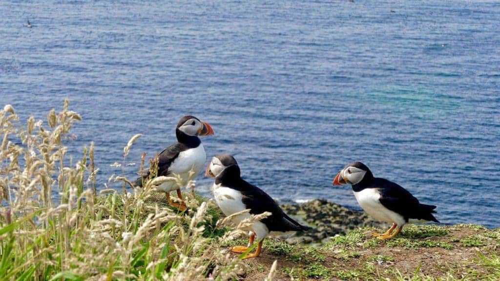 Scottish Islands