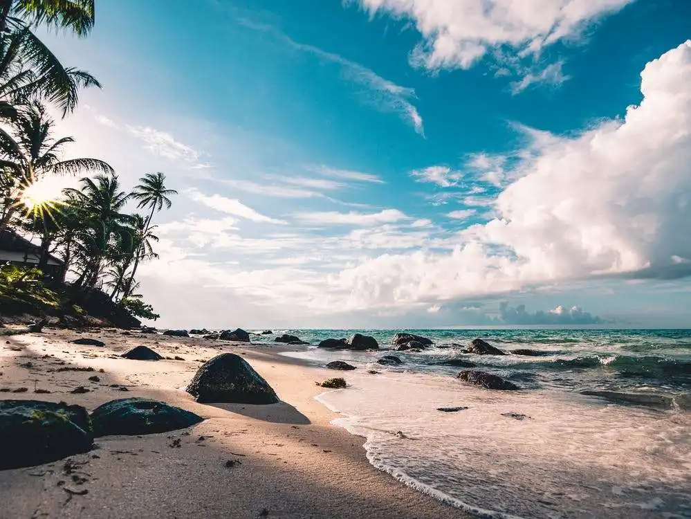 Canary islands