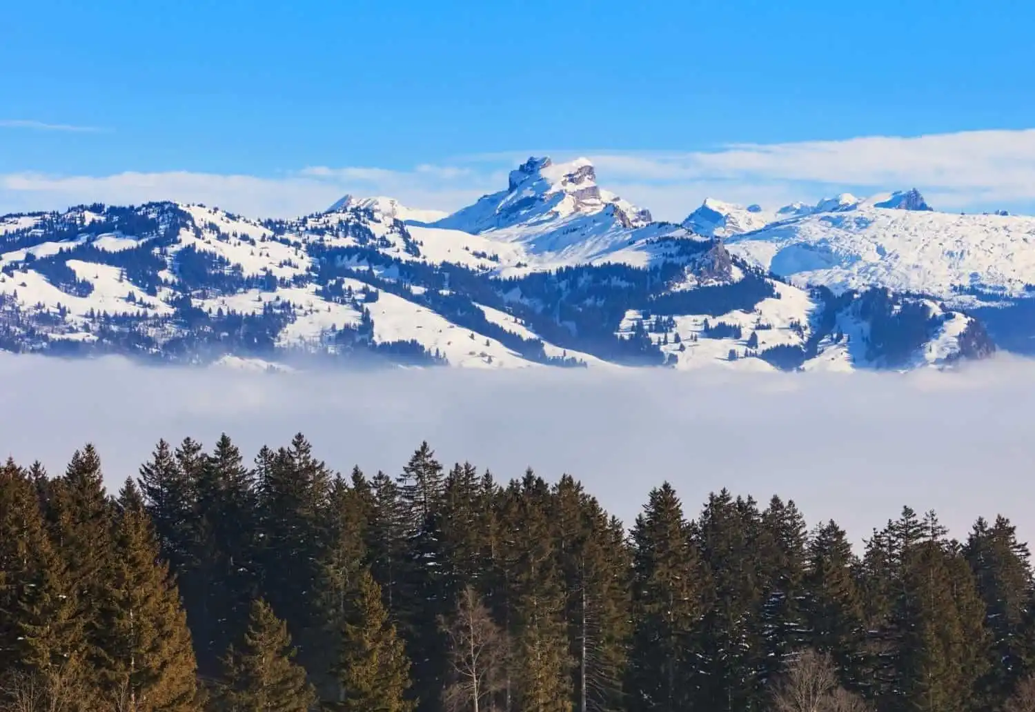 Mountains