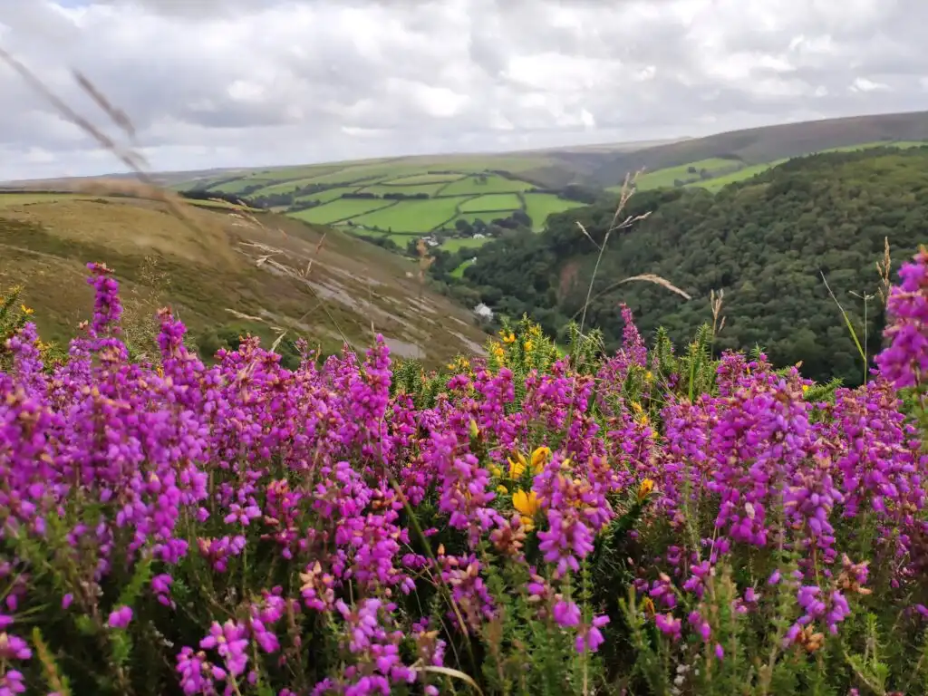 National parks in the uk