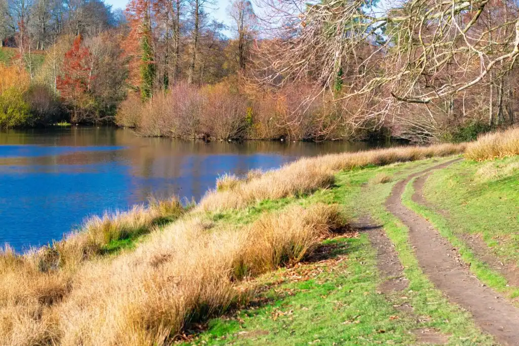 National parks in the UK