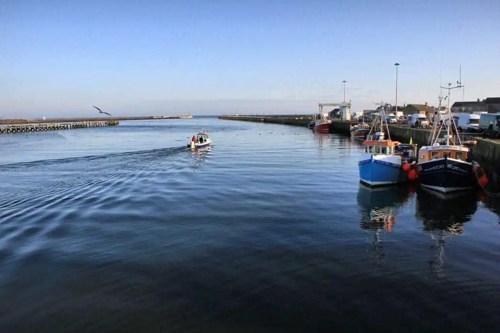 Amble