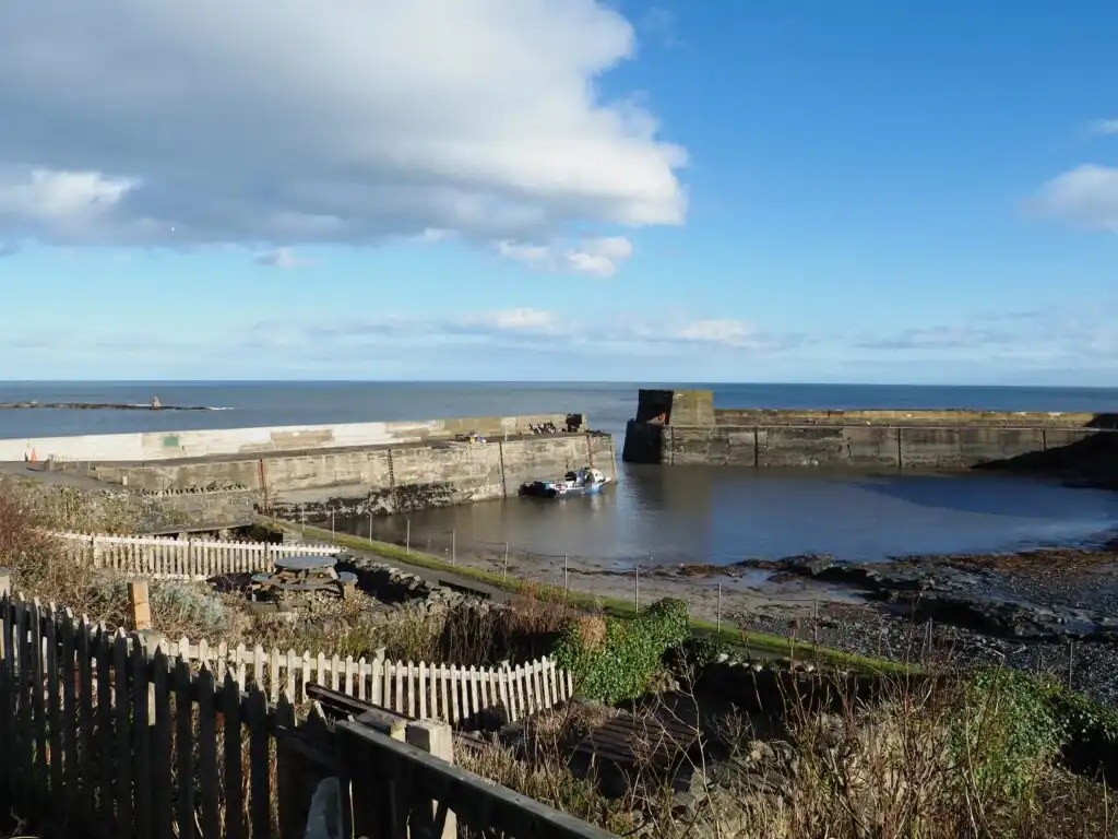 Craster