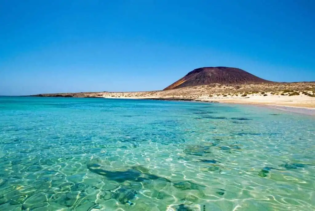 The Canary Islands